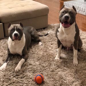 Meet your Posher, Jake